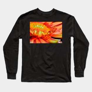 Macro photo of an Orange Gerbera with a teardrop Long Sleeve T-Shirt